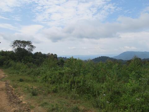 tuuru kixn