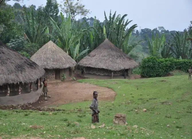 mandara
